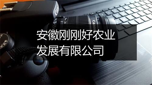 安徽刚刚好农业发展有限公司
