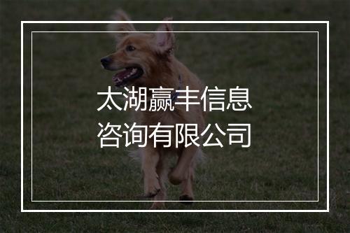 太湖赢丰信息咨询有限公司
