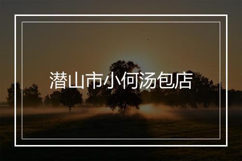 潜山市小何汤包店