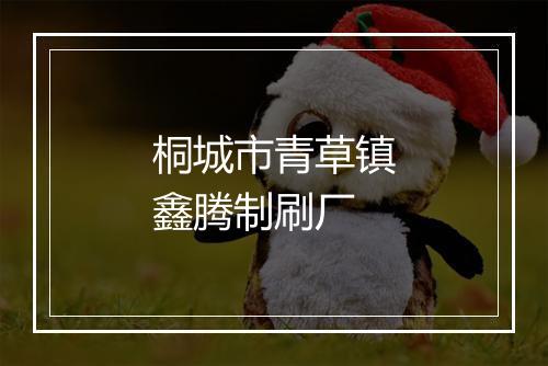 桐城市青草镇鑫腾制刷厂