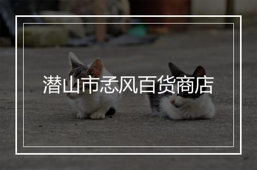 潜山市孞风百货商店