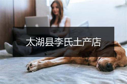 太湖县李氏土产店