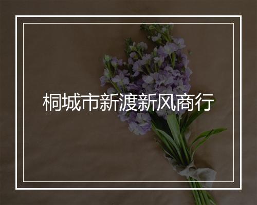 桐城市新渡新风商行