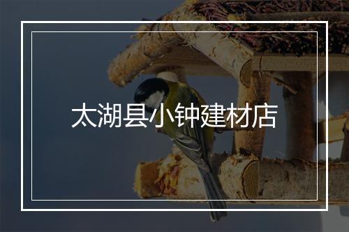 太湖县小钟建材店