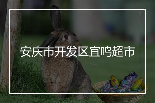 安庆市开发区宜鸣超市