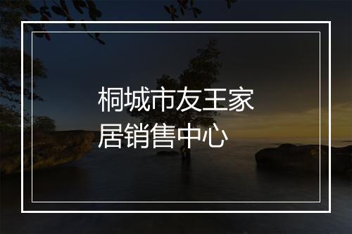 桐城市友王家居销售中心