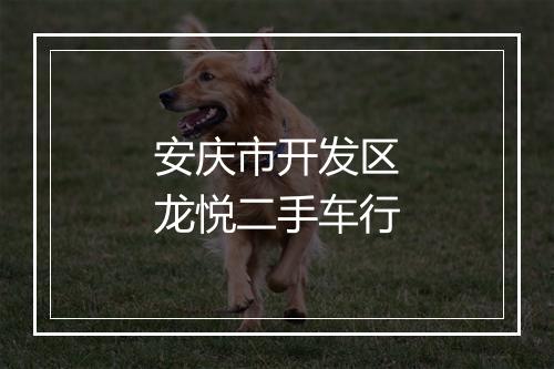 安庆市开发区龙悦二手车行