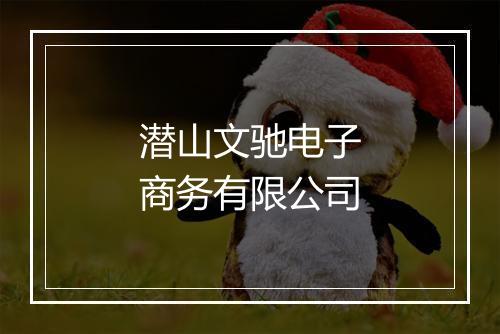 潜山文驰电子商务有限公司