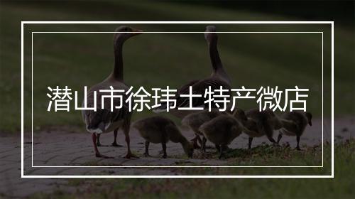 潜山市徐玮土特产微店