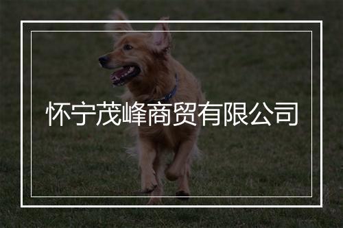 怀宁茂峰商贸有限公司