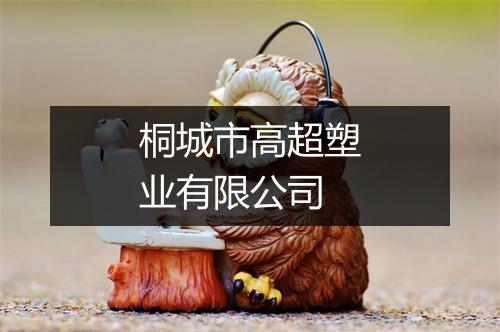 桐城市高超塑业有限公司