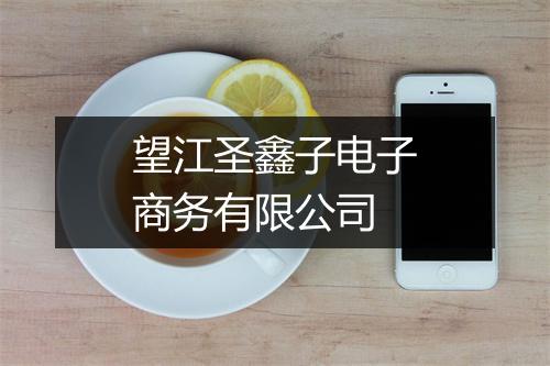 望江圣鑫子电子商务有限公司