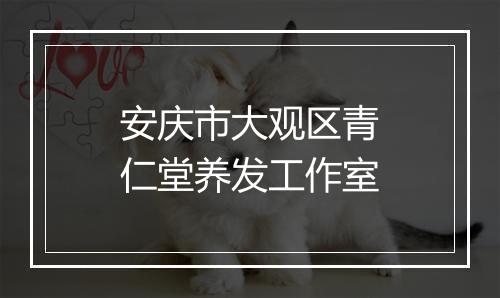 安庆市大观区青仁堂养发工作室