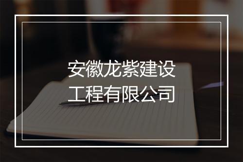 安徽龙紫建设工程有限公司