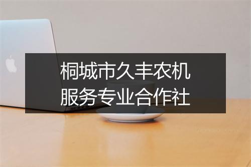 桐城市久丰农机服务专业合作社