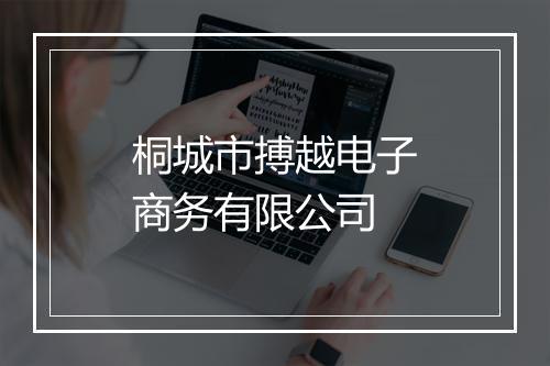 桐城市搏越电子商务有限公司