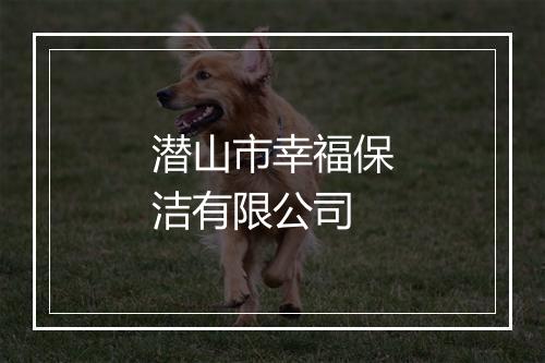 潜山市幸福保洁有限公司