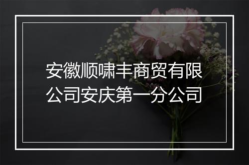 安徽顺啸丰商贸有限公司安庆第一分公司