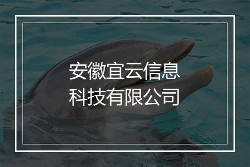 安徽宜云信息科技有限公司