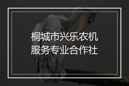 桐城市兴乐农机服务专业合作社