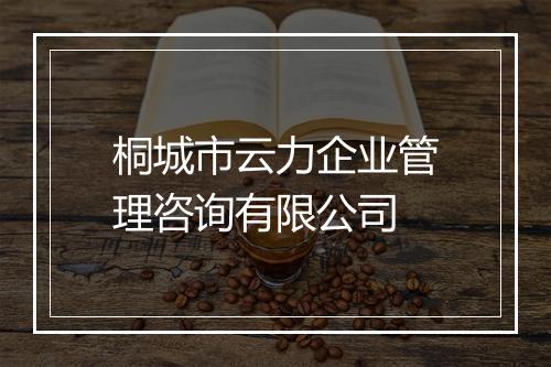 桐城市云力企业管理咨询有限公司