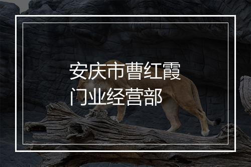 安庆市曹红霞门业经营部