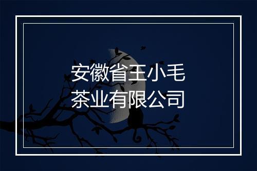 安徽省王小毛茶业有限公司