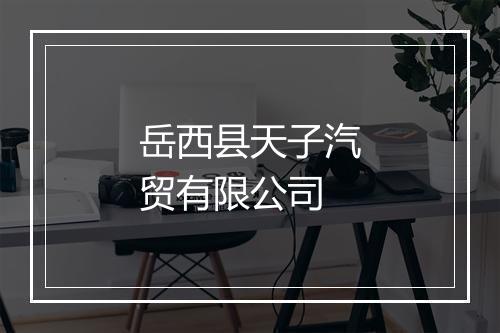 岳西县天子汽贸有限公司