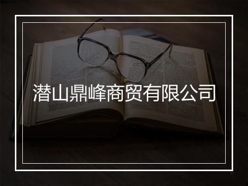 潜山鼎峰商贸有限公司