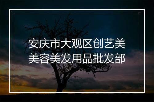 安庆市大观区创艺美美容美发用品批发部
