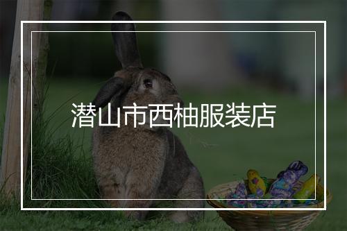 潜山市西柚服装店