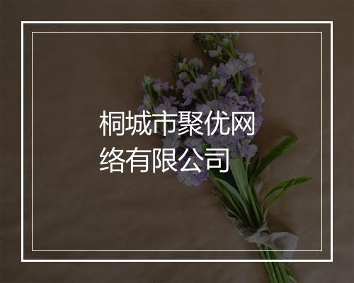 桐城市聚优网络有限公司