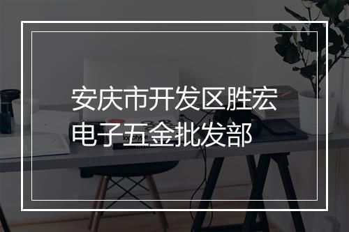 安庆市开发区胜宏电子五金批发部