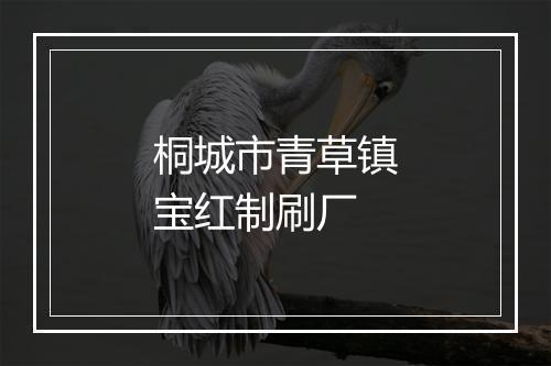 桐城市青草镇宝红制刷厂