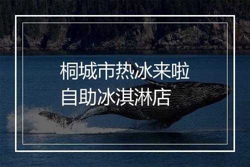 桐城市热冰来啦自助冰淇淋店