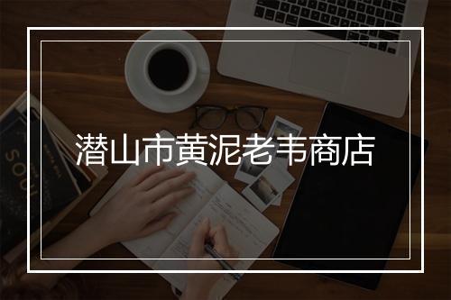 潜山市黄泥老韦商店