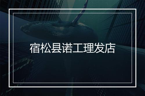 宿松县诺工理发店