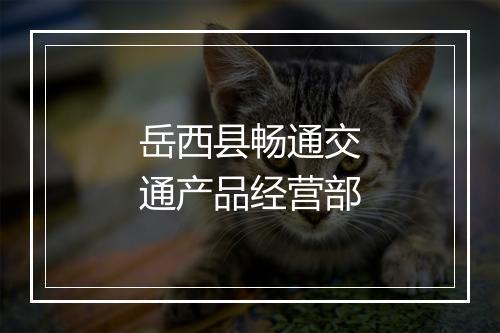 岳西县畅通交通产品经营部