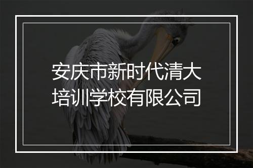 安庆市新时代清大培训学校有限公司