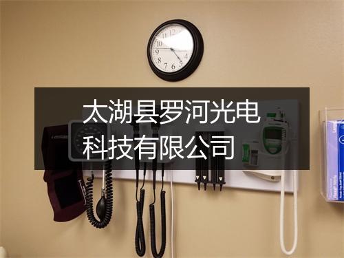 太湖县罗河光电科技有限公司