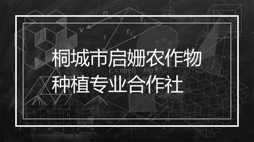 桐城市启姗农作物种植专业合作社