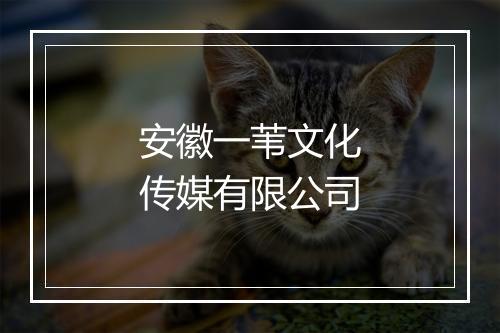 安徽一苇文化传媒有限公司