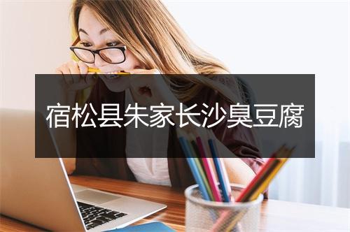 宿松县朱家长沙臭豆腐
