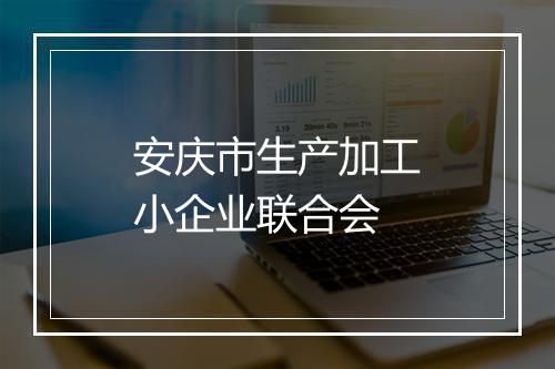 安庆市生产加工小企业联合会