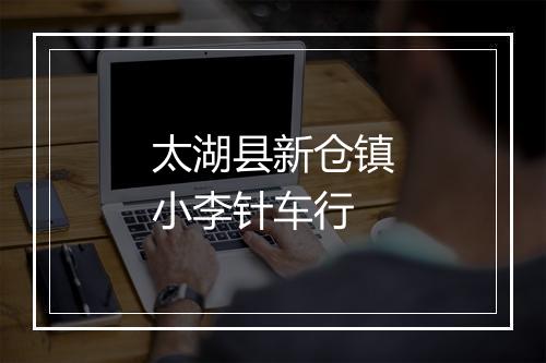 太湖县新仓镇小李针车行
