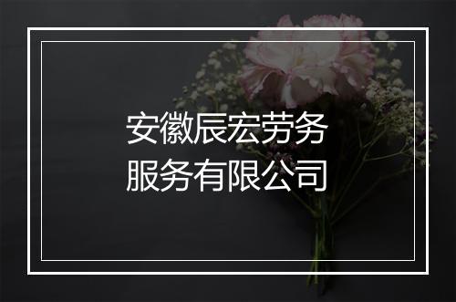 安徽辰宏劳务服务有限公司