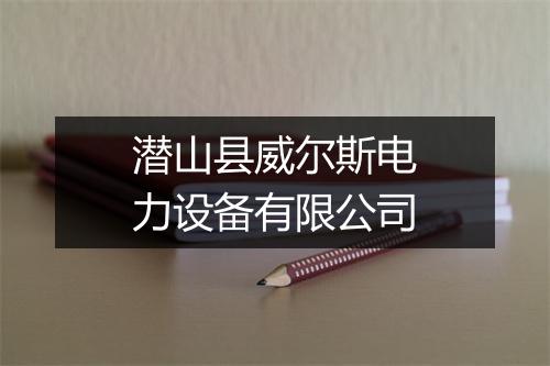 潜山县威尔斯电力设备有限公司