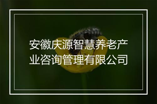 安徽庆源智慧养老产业咨询管理有限公司