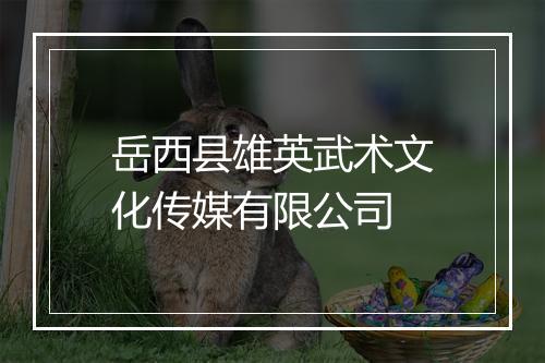 岳西县雄英武术文化传媒有限公司