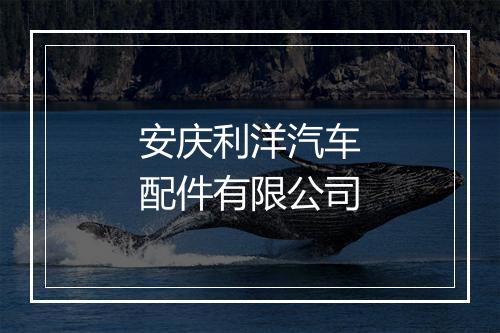 安庆利洋汽车配件有限公司